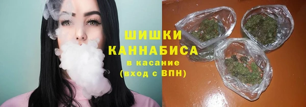 Альфа ПВП Аркадак