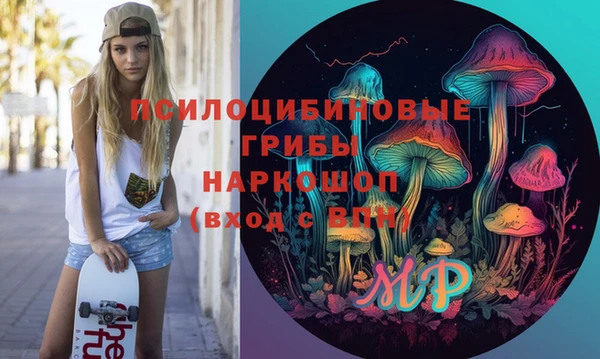 Альфа ПВП Аркадак